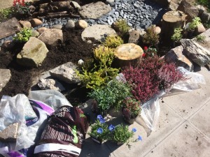 Rock Garden