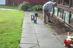 Planting the flowerbeds