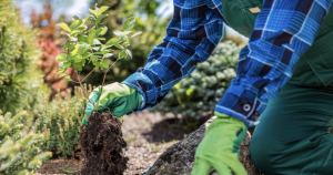 Gardening Group