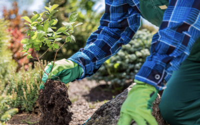 Gardening Group